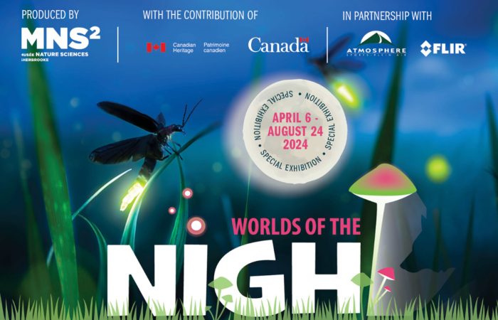 Worlds of the Night special exhibition is at Joseph Brant Museum from April 6 – August 24, 2024.