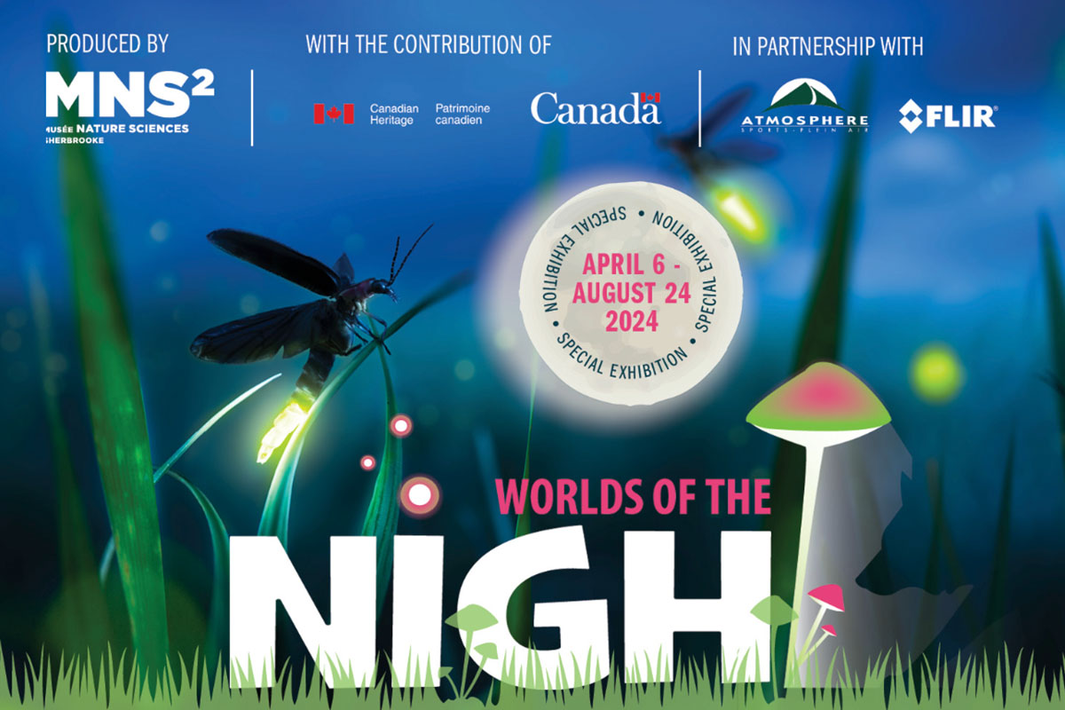 Worlds of the Night special exhibition is at Joseph Brant Museum from April 6 – August 24, 2024.
