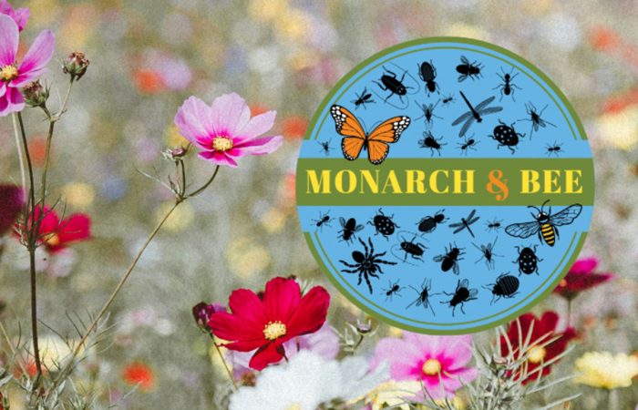 This mini exhibition brings together two of the most important pollinators in our natural world.