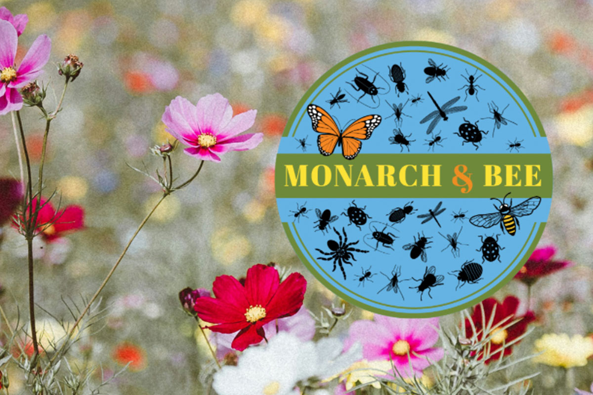 This mini exhibition brings together two of the most important pollinators in our natural world.